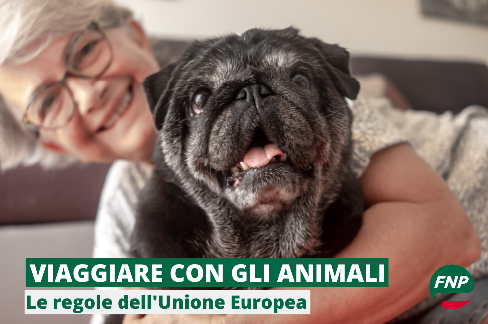 Viaggiare con gli amici a 4 zampe: le regole dell'UE