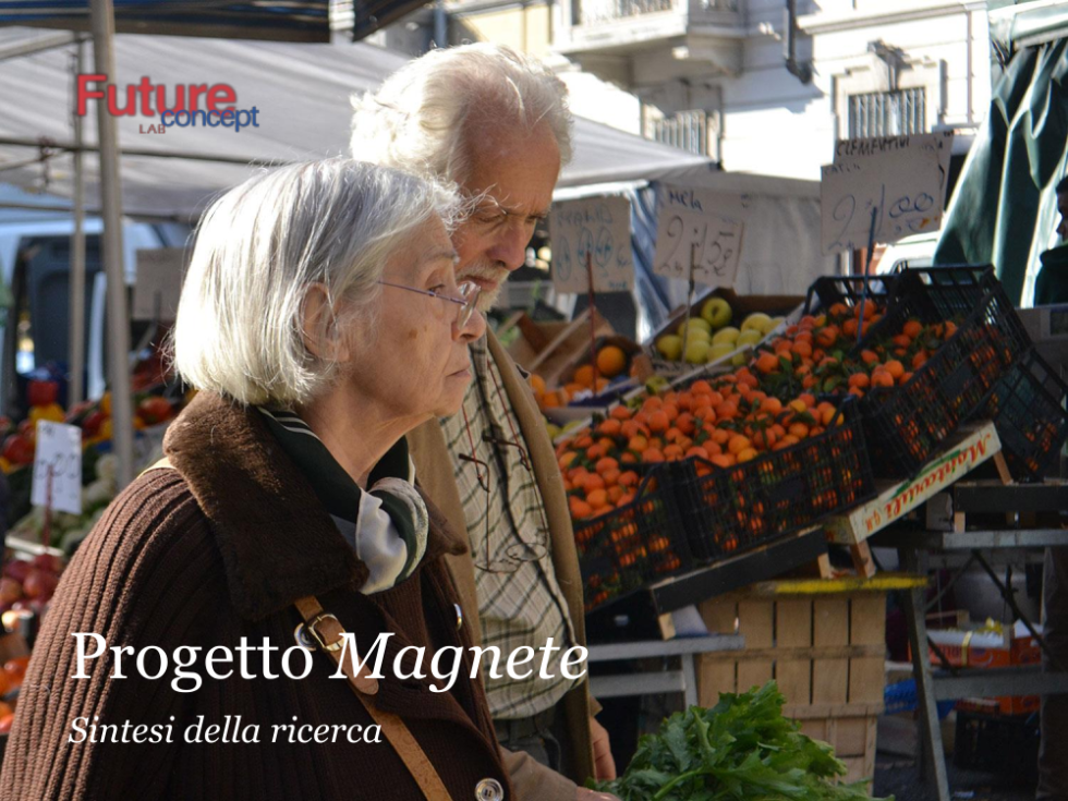 Progetto Magnete